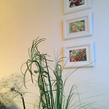 公寓 Haus Lieberum 巴特索登-阿伦多夫